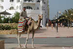 Hammamet - A Berber on a camel in the streets