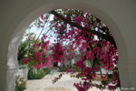 Djerba - Flowered arcades of the hotel