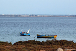 Djerba - Colourful fishing boats