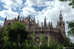 Séville - Cathédrale Notre-Dame du Siège 