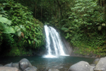 Cascade aux Ecrevisses - This would be the most frequented tourist site in Guadeloupe. About 10m (32.08ft) high, it was once teeming with local crayfish, known as ouassous.