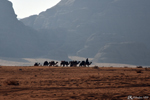 Wadi Rum