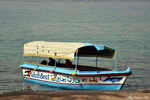 Bateau pour admirer les fond marins