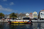 The boats of Aveiro