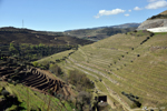 The valley and its vineyards