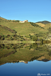 The valley and its vineyards
