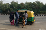 Delhi - The goat is part of the trip, I can guarantee it