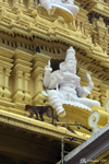 Mysore - Monkey on the Sri Chamundeshwari Devi temple