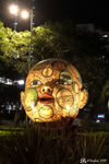Mumbai - A lighted head