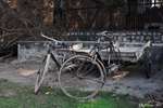 Delhi - A bike in a bad state