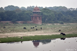 Agra - Across the river