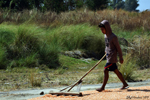Pangasinan - Aeration of corn for drying