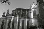 La cathédrale Saint-Pierre-et-Saint-Paul