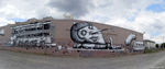 An overall view distorted by the panoramic