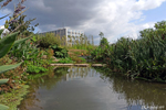 Une vue d'un petit étang artificiel du Jardin Extraordinaire