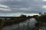 Les Salins d'Aigues-Mortes