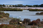 Les Salins d'Aigues-Mortes
