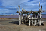 Les Salins d'Aigues-Mortes