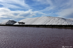 Les Salins d'Aigues-Mortes