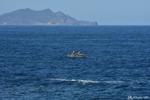 Les pêcheurs