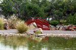 Tunis - Jardin Japonais