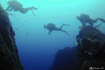 Propriano - A team diver on the move