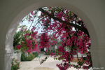 Hammamet