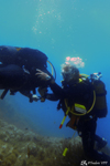Diving in Frejus