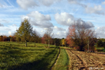Lognes