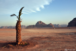 Désert de Wadi Rum
