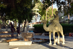 Aqaba