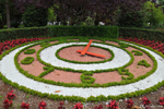 Une horloge fleurie