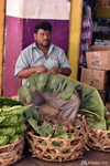 KR Market