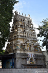 Temple