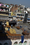 Drying pineapples on the roofs of Chandni Chowk
