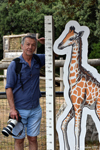 Alain and Giraffe comparison