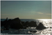 The bird (South Corsica, France, 2015)