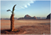 The Desert (Wadi Rum, Jordan, 2018)