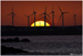 Silhouettes of the Wind (El Haouaria, Tunisia, September 2025)