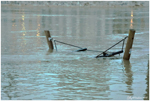The Seine in flood (Paris, France, 2018)