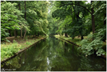 The River (Warsaw, Poland, 2018)