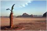 The Desert (Wadi Rum, Jordan, 2018)