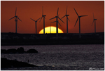 Silhouettes of the Wind (El Haouaria, Tunisia, September 2025)